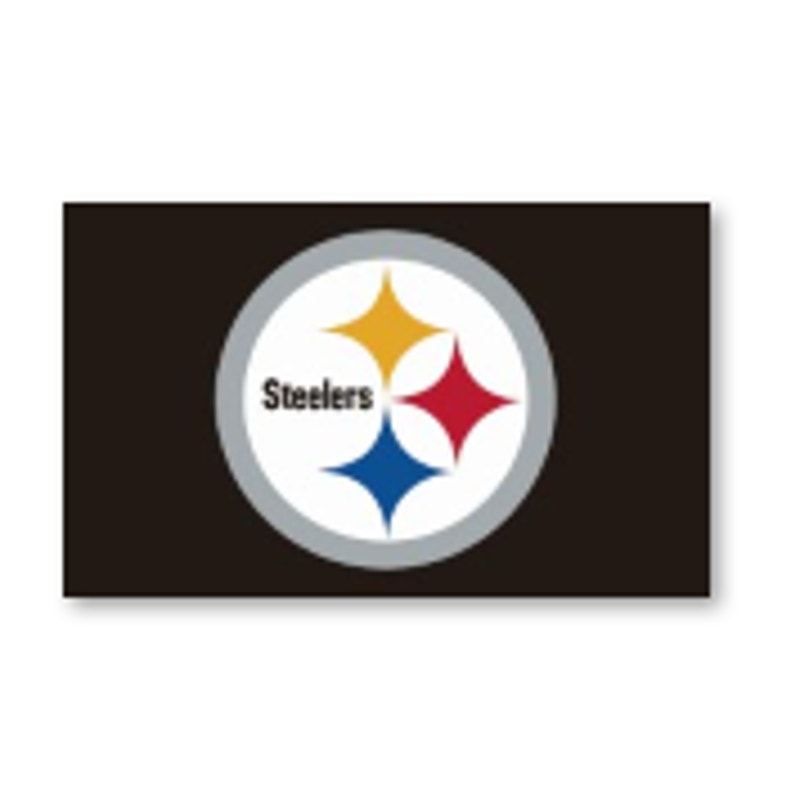Pittsburgh Steelers Sports NFL Flag