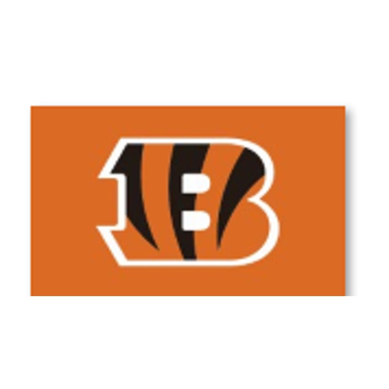 Cincinnati Bengals Sports NFL Flag