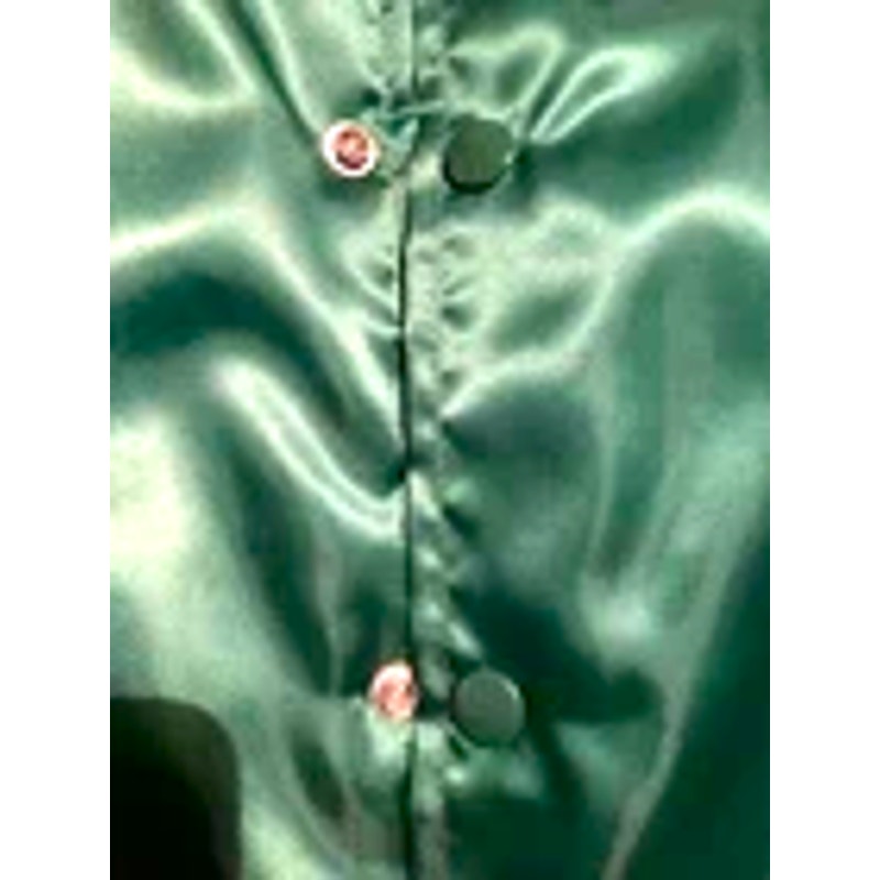 Swingster Boston Celtics Jacket L - Used