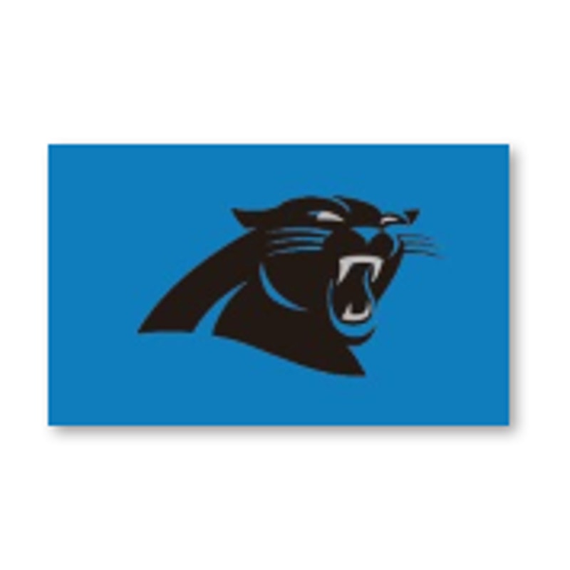 Carolina Panthers Sports NFL Flag