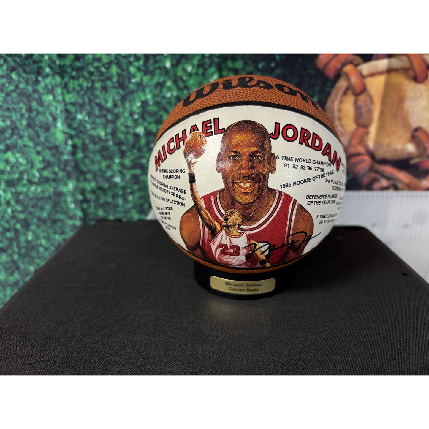 Michael Jordan Bulls Men's Career Stats Leather Mini Basketball