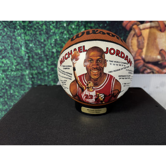 Michael Jordan Bulls Men's Career Stats Leather Mini Basketball