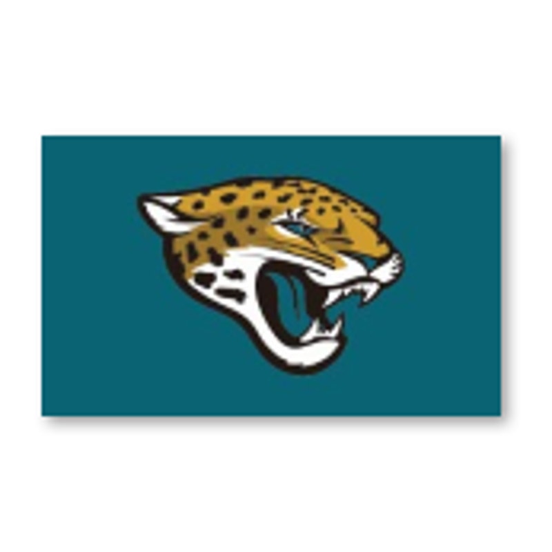 Jacksonville Jaguars NFL Flag