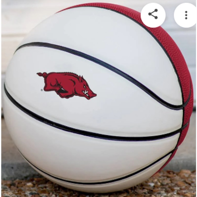 Arkansas Commemorative Leather Mini Basketball - New